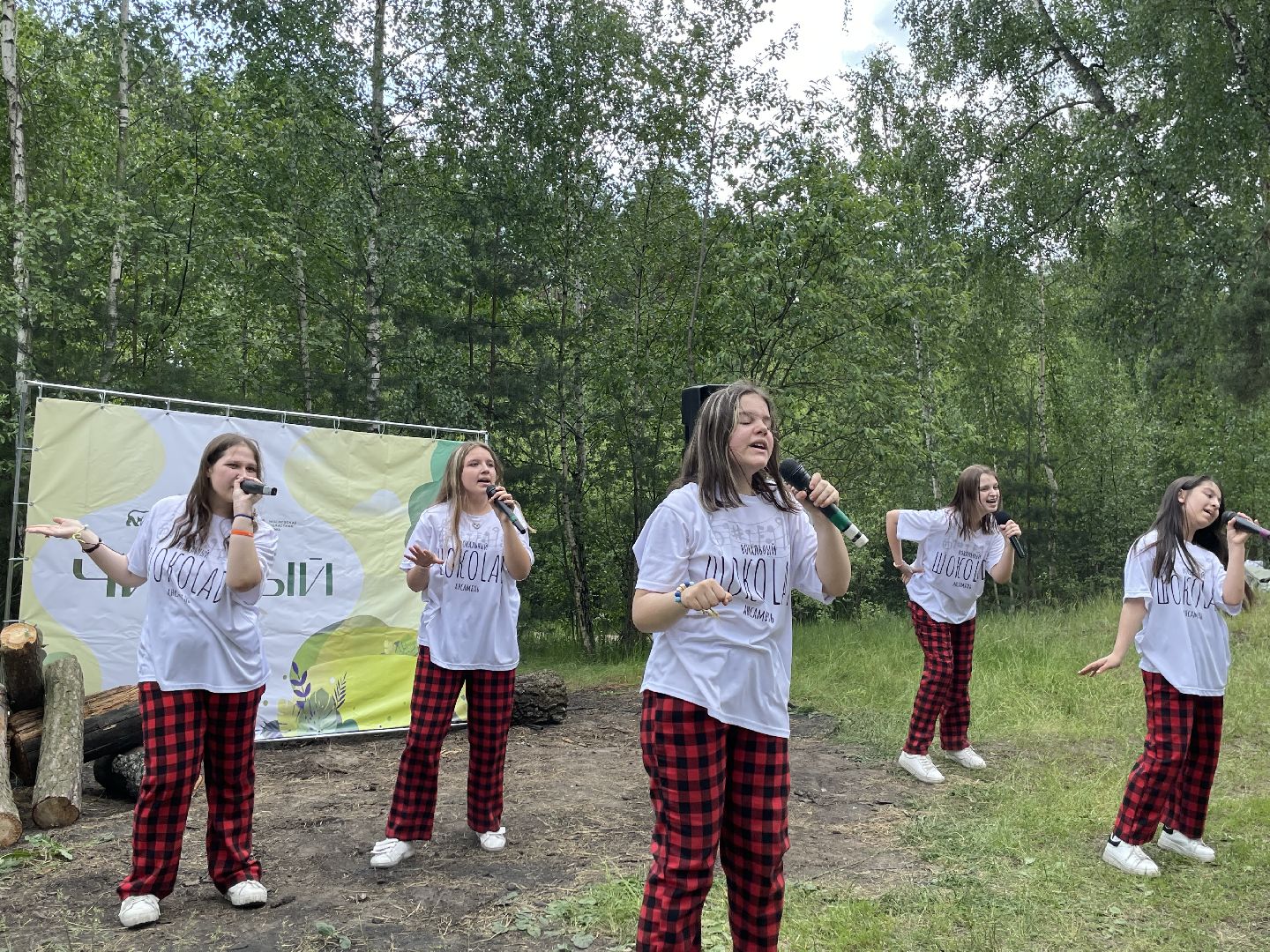 Лес, чистота, акция, люди