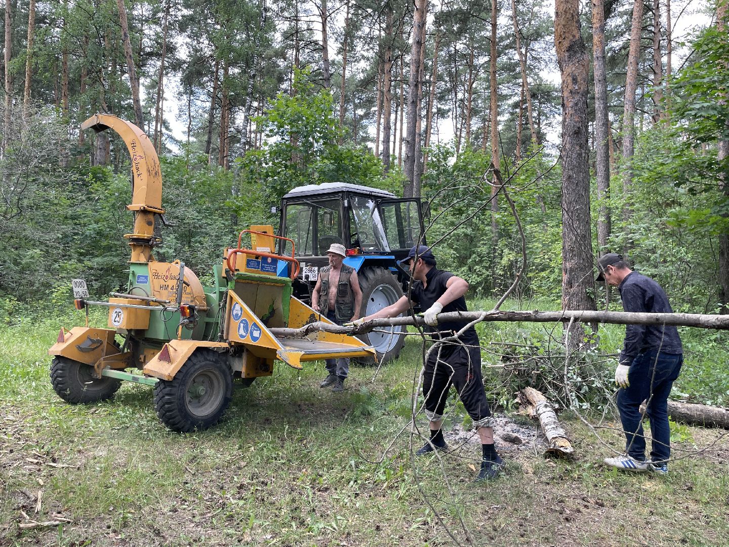 Лес, чистота, акция, люди