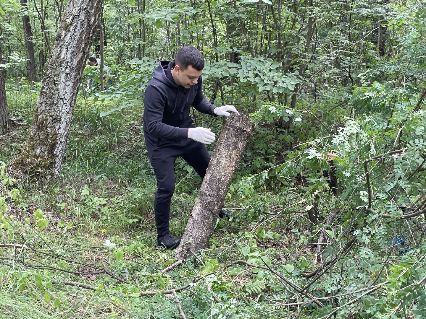 Лес, чистота, акция, люди