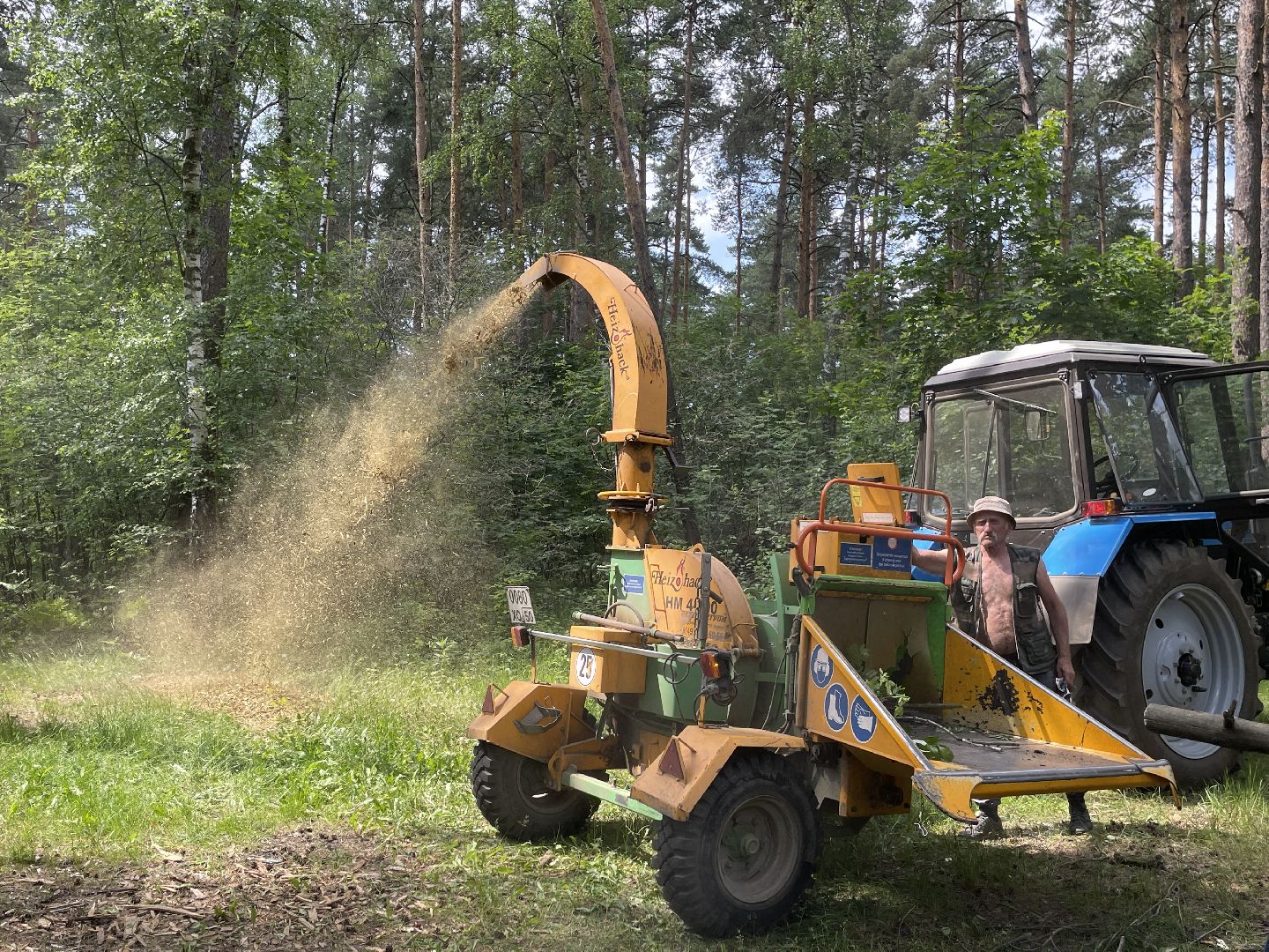 Лес, чистота, акция, люди