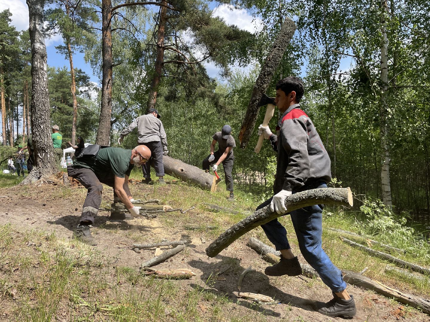 Лес, чистота, акция, люди