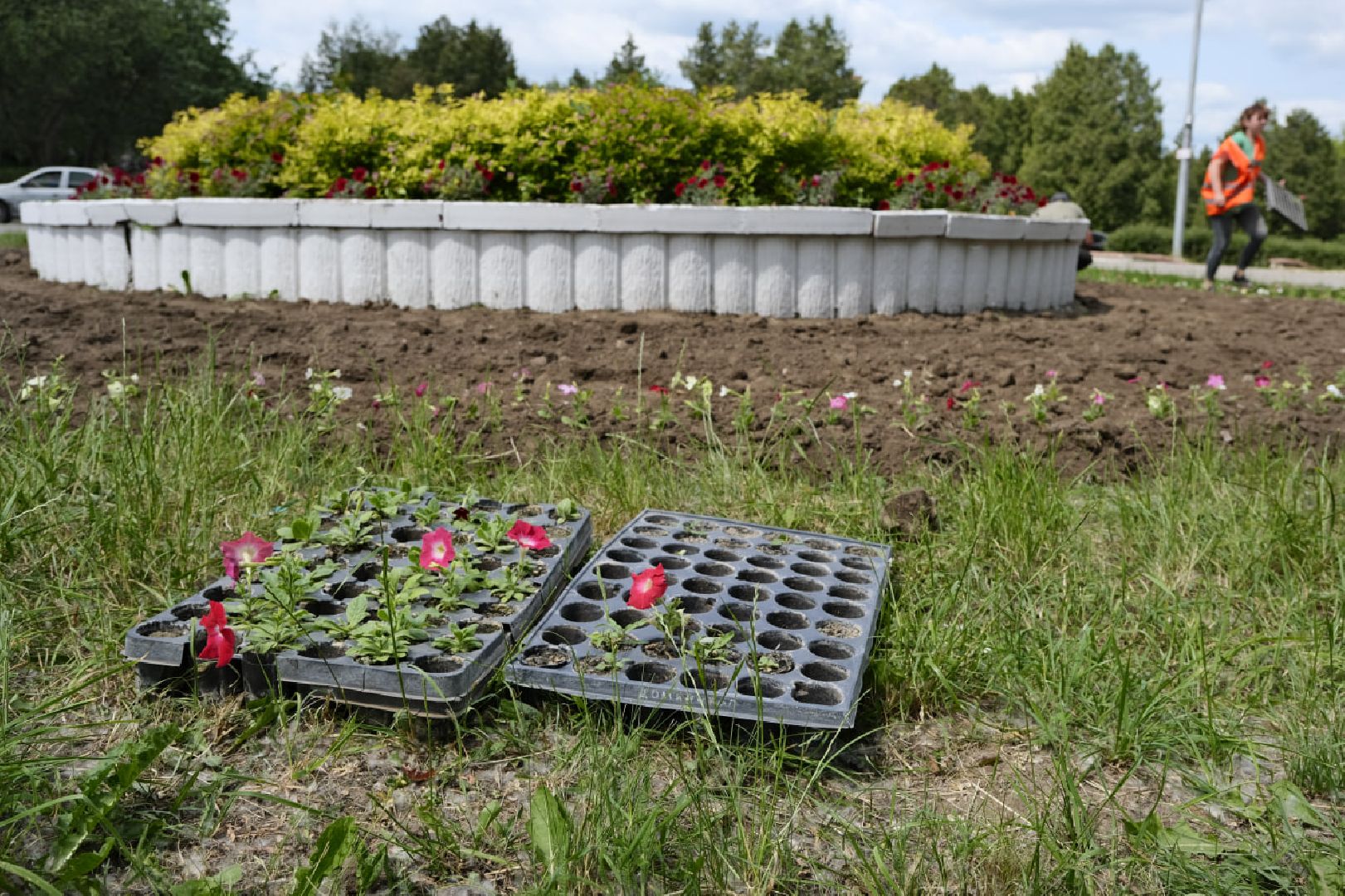 Пущино, благоустройство, клумбы