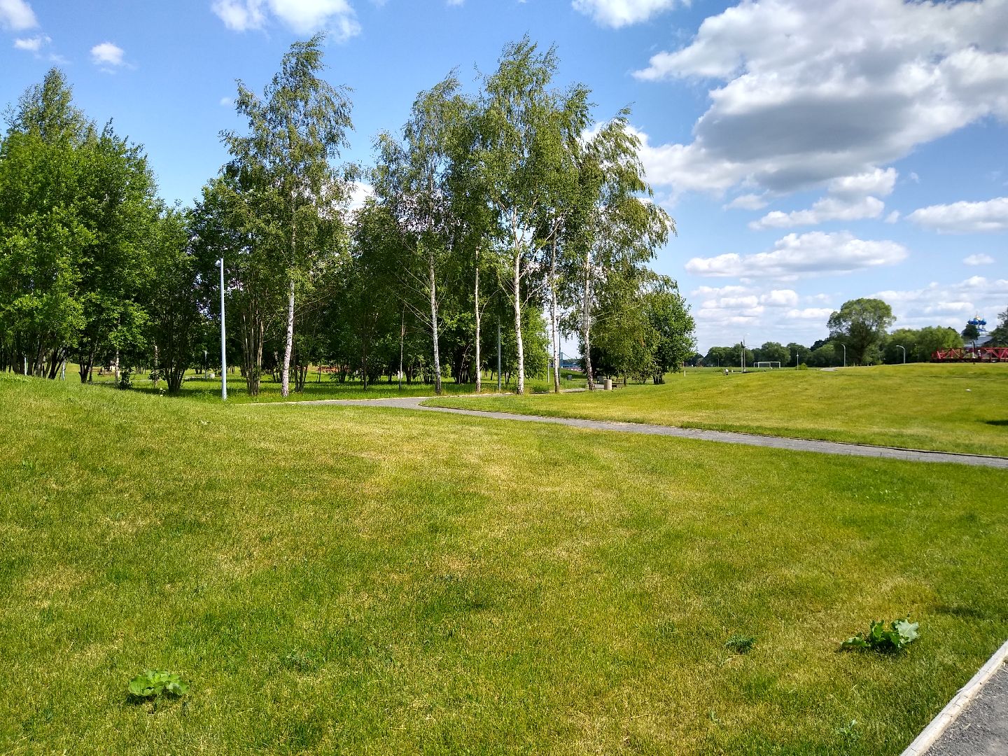 Бронницы, мнение, день летнего солнцестояния, рекомендации астролога