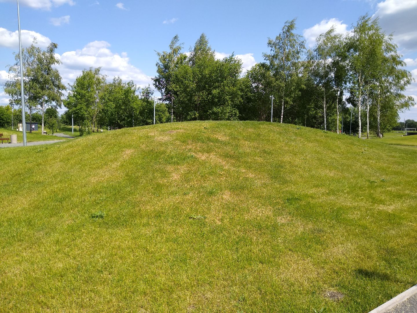 Бронницы, мнение, день летнего солнцестояния, рекомендации астролога