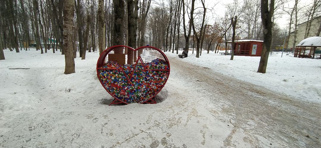 Щелково, общество