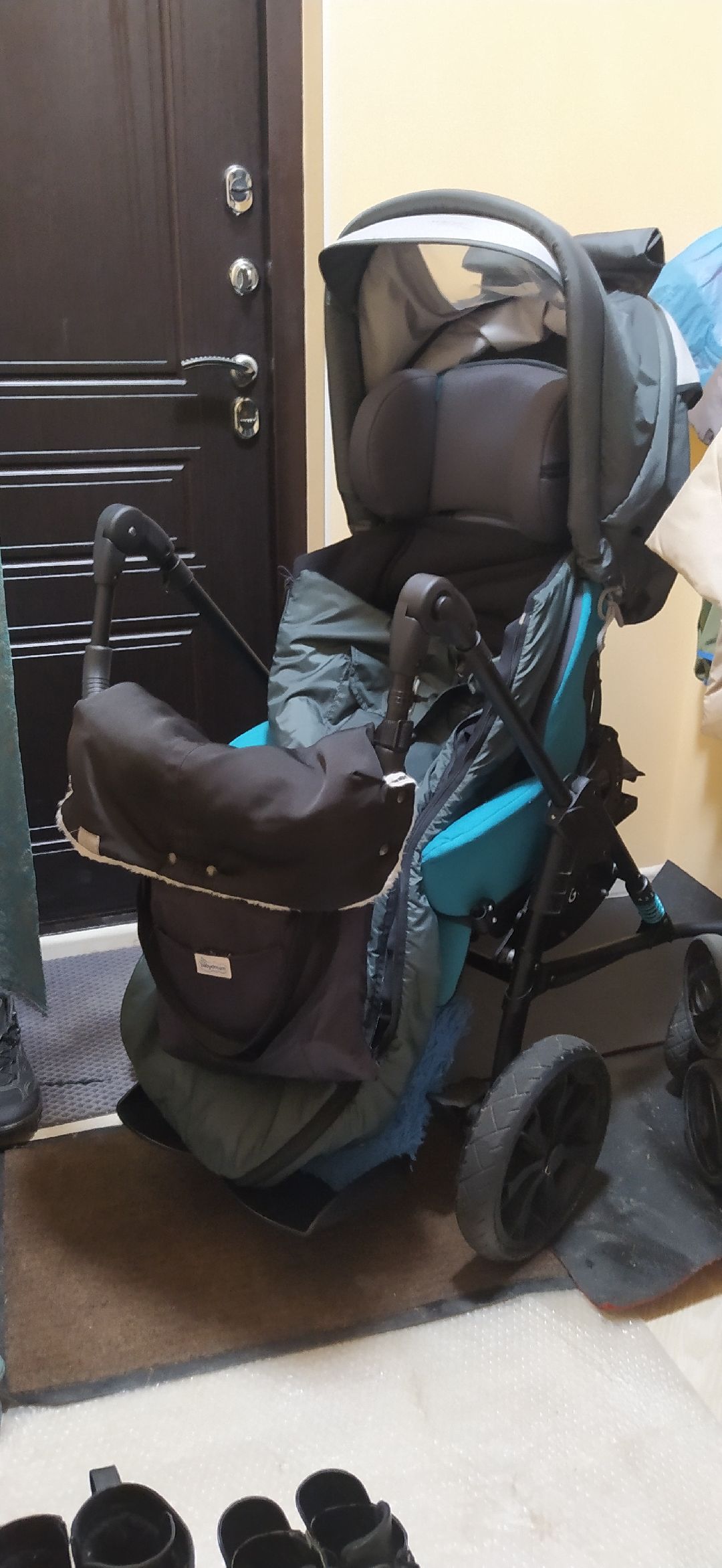 Щелково, общество