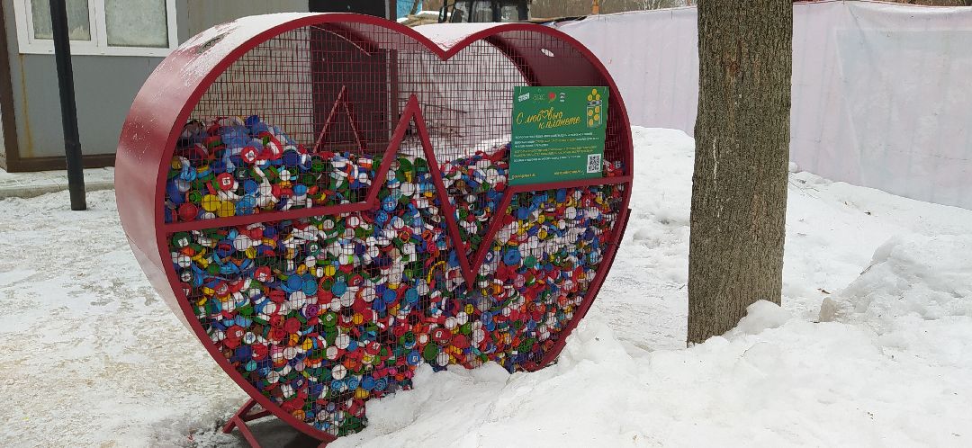 Щелково, общество