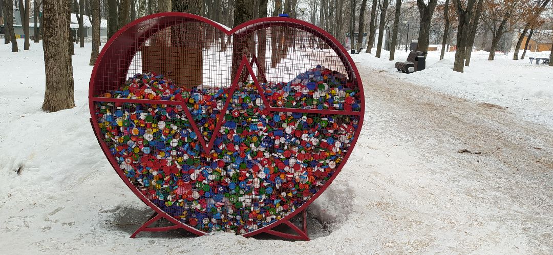 Щелково, общество