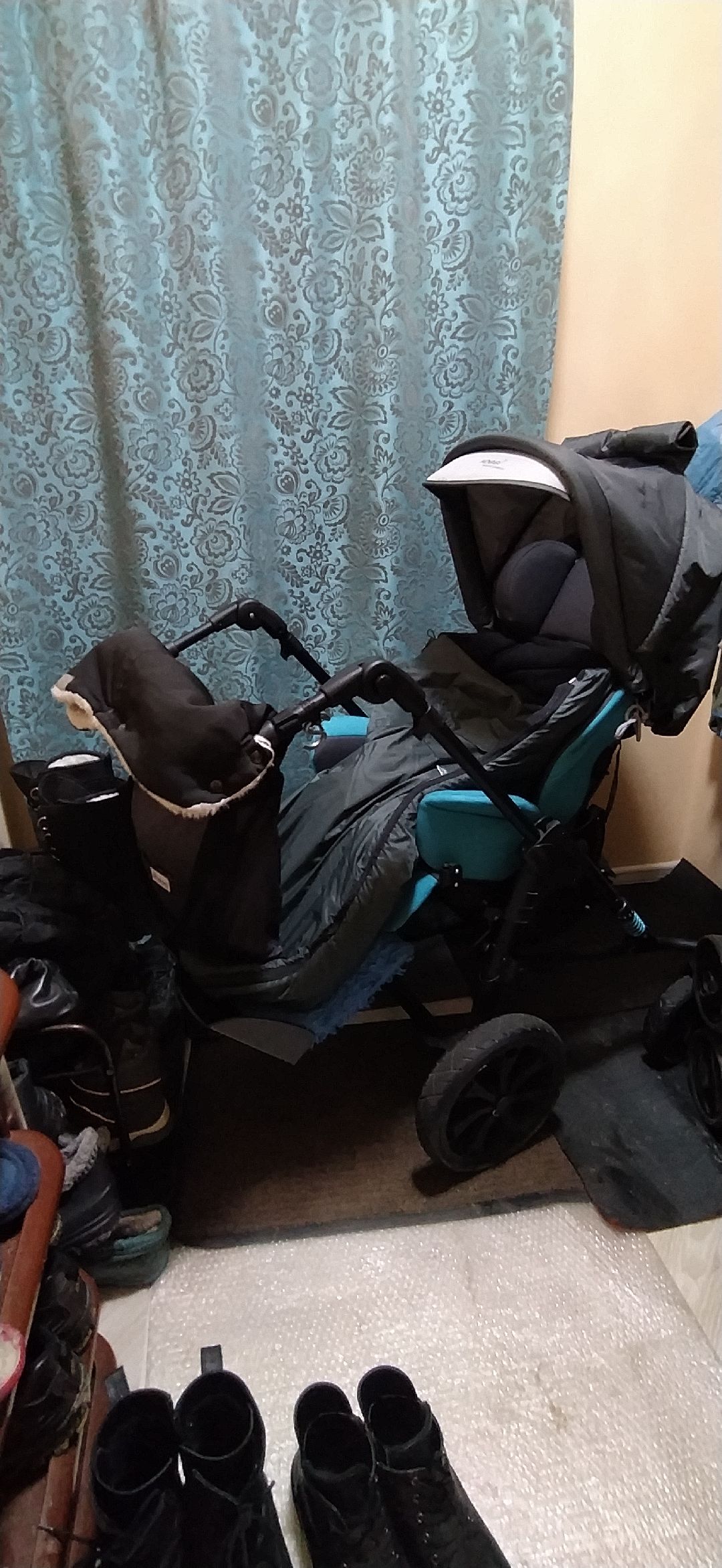 Щелково, общество