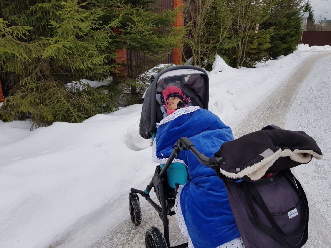 Щелково, общество