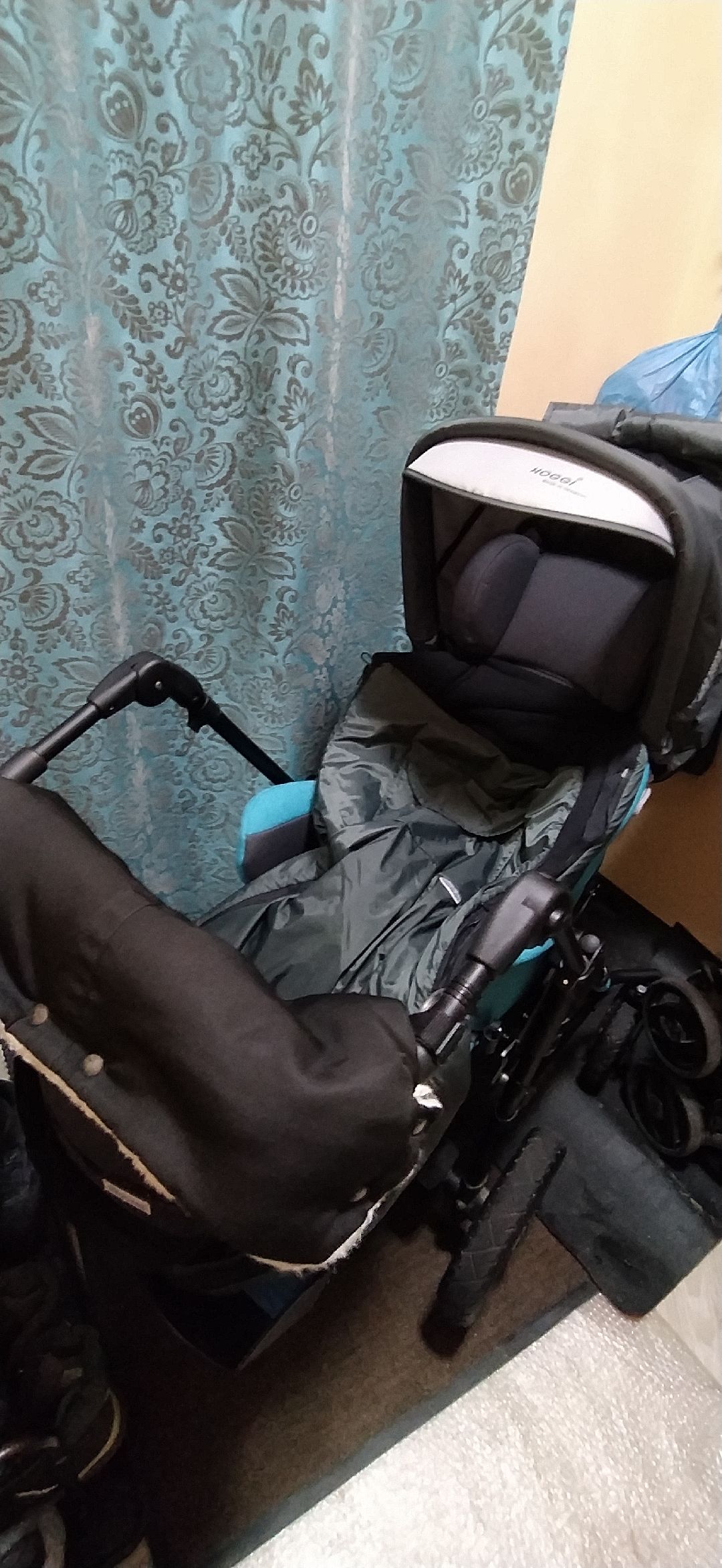 Щелково, общество