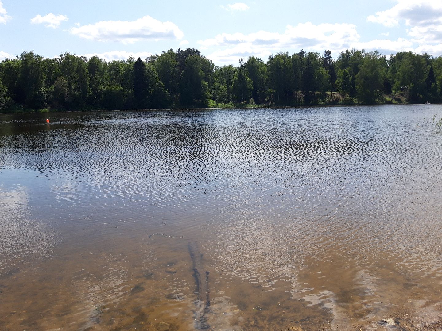 ветер, волейбол, река, озеро, плавание, п