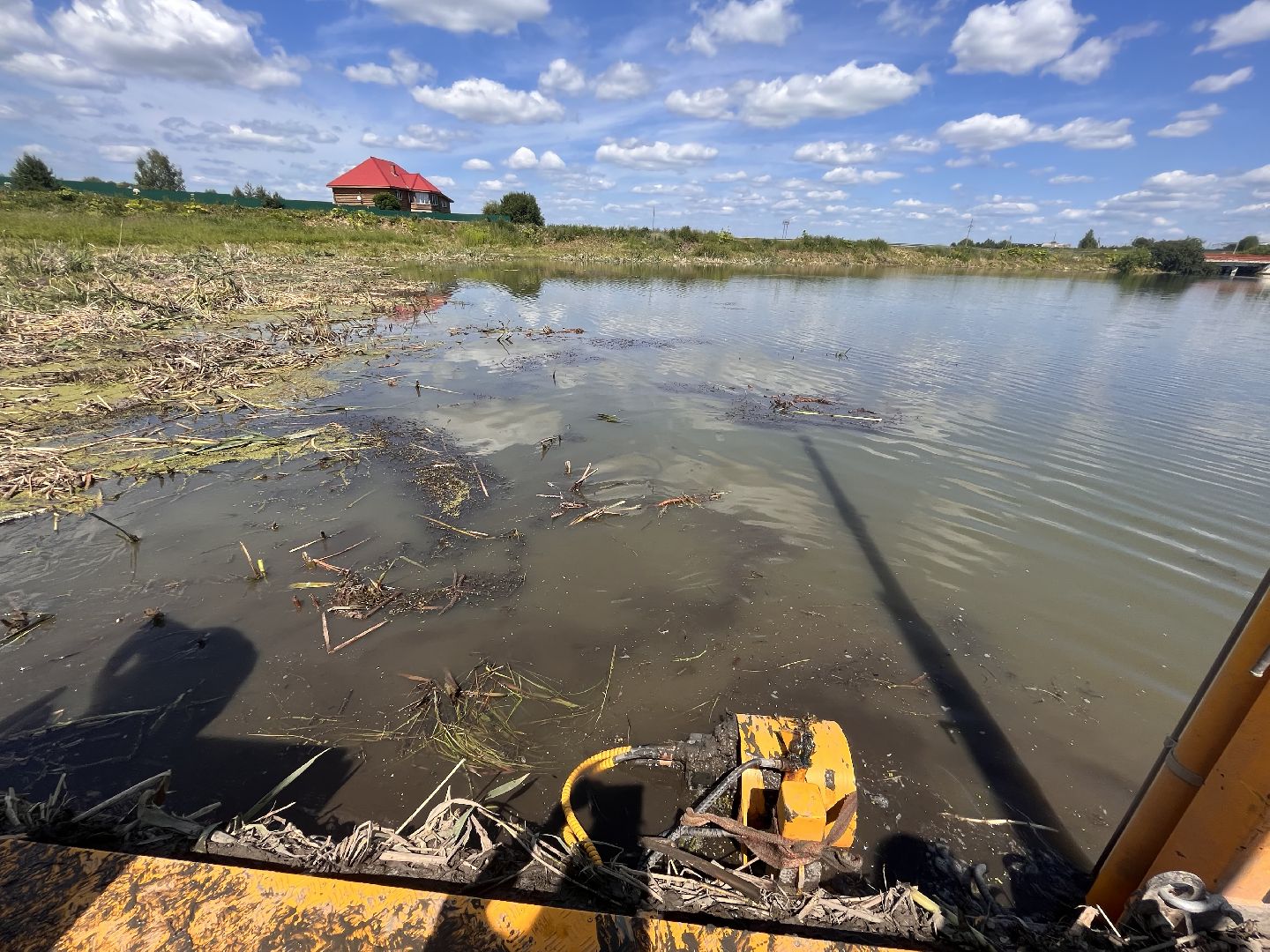 Шаховская, очистка прудов, экология
