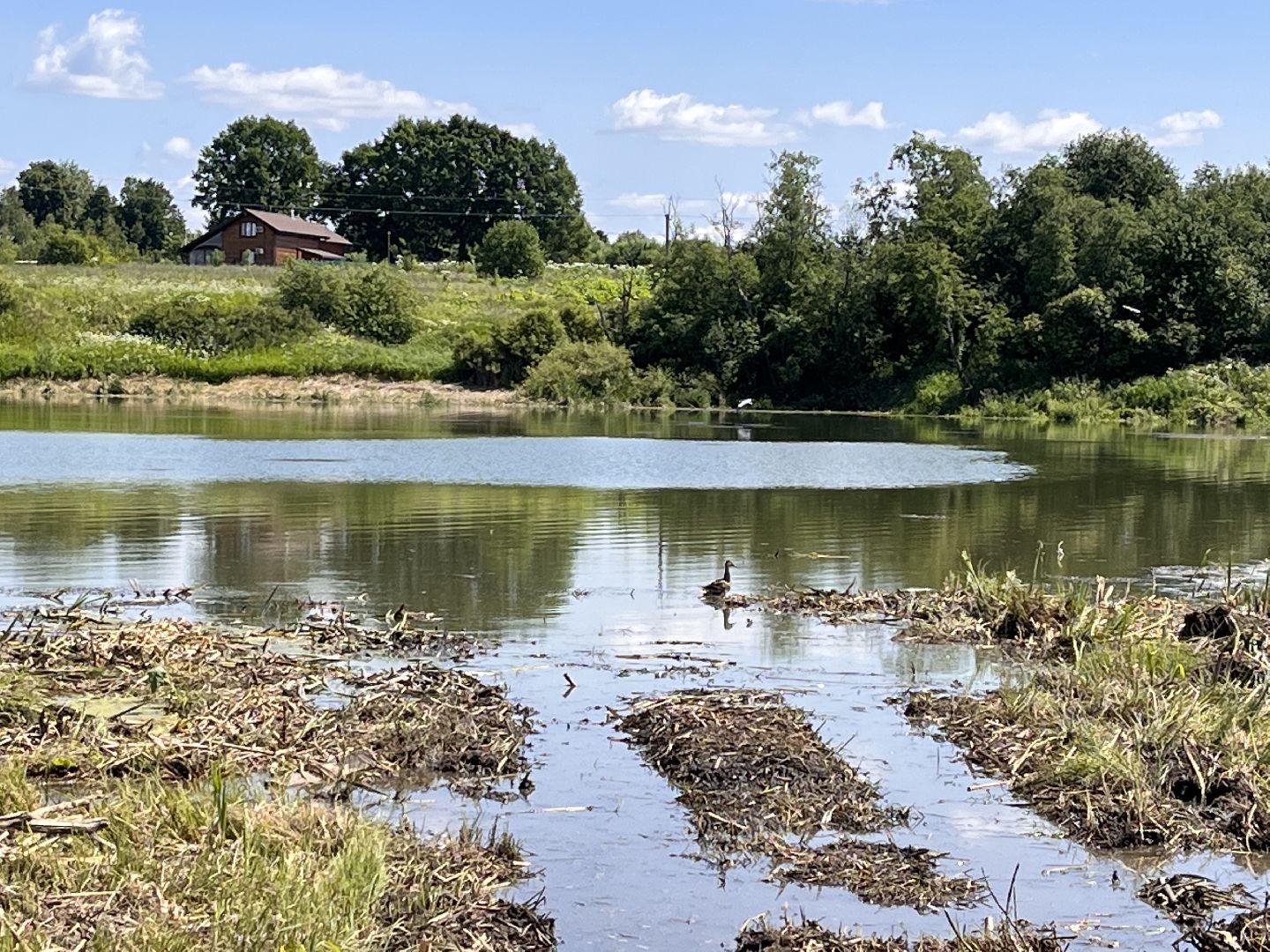 Шаховская, очистка прудов, экология