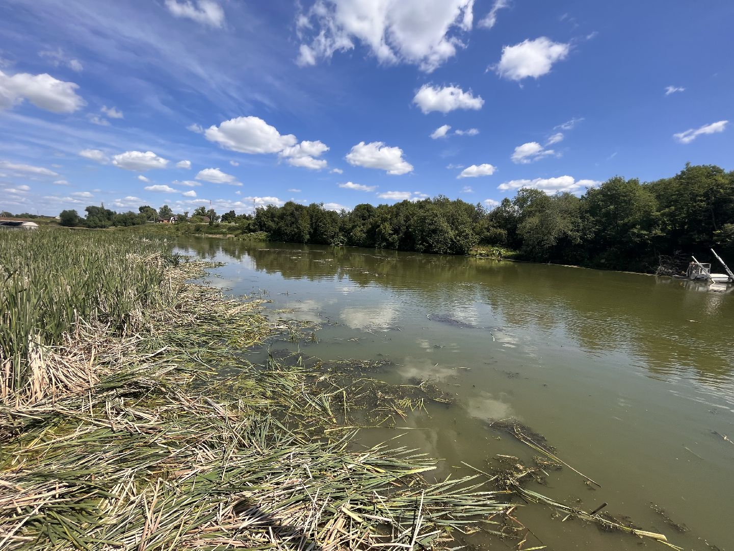 Шаховская, очистка прудов, экология