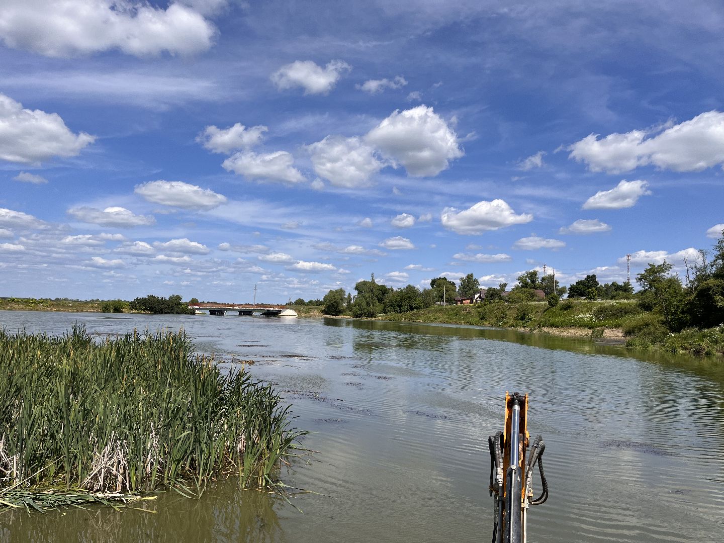 Шаховская, очистка прудов, экология