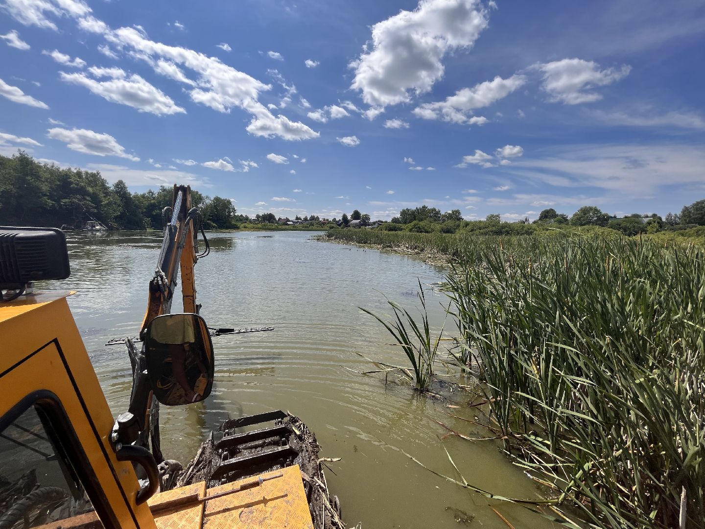 Шаховская, очистка прудов, экология
