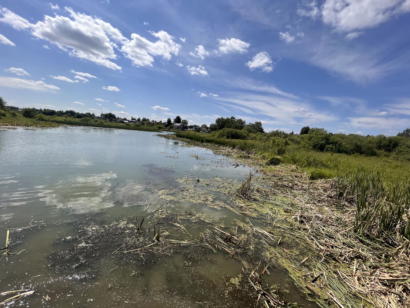 Шаховская, очистка прудов, экология