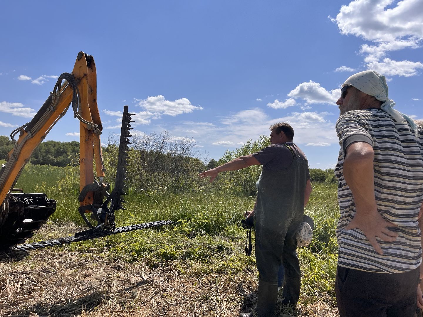 Шаховская, очистка прудов, экология