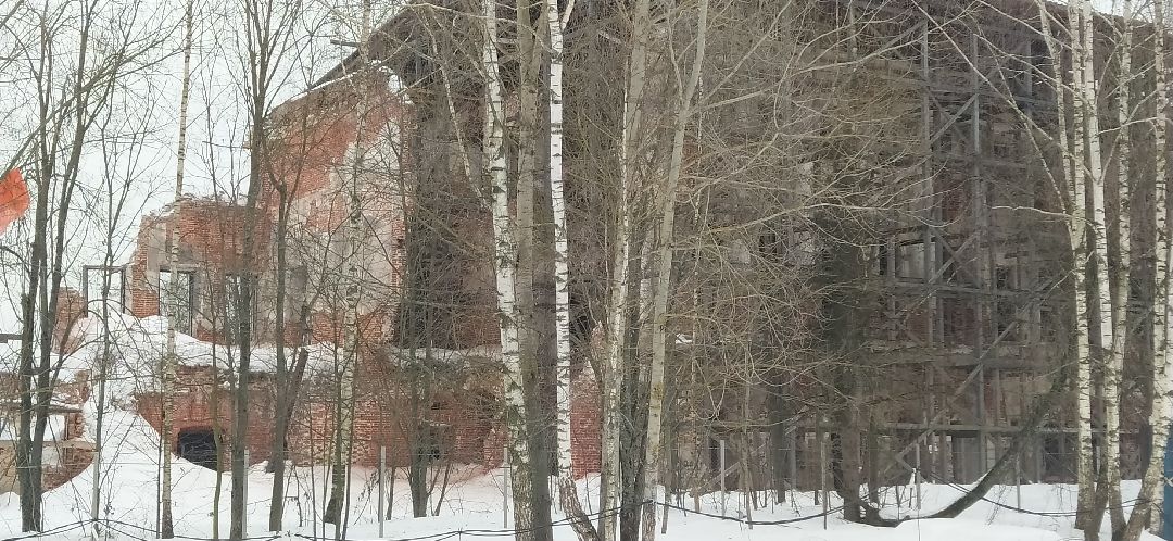 Щёлково, общество