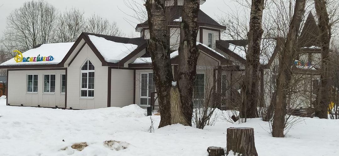 Щёлково, общество