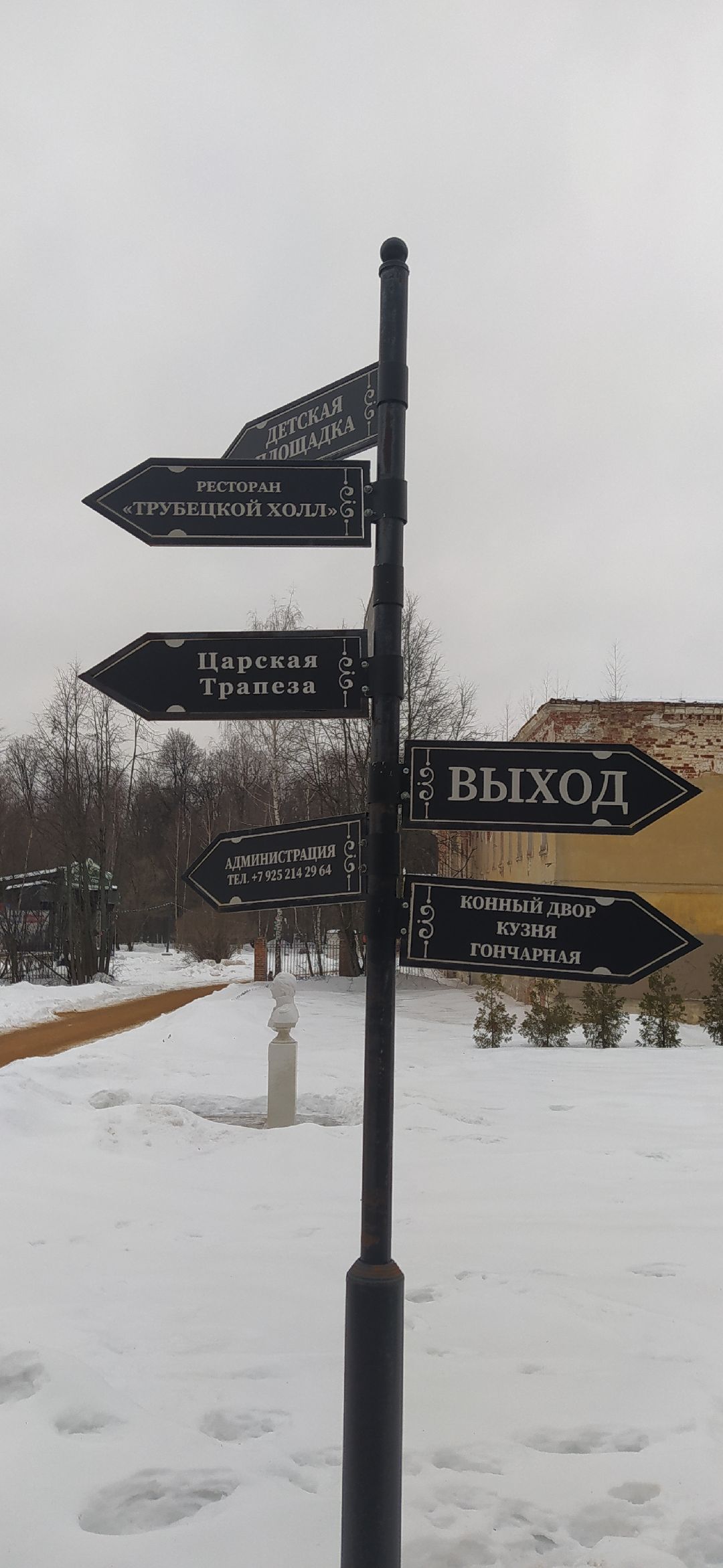 Щёлково, общество