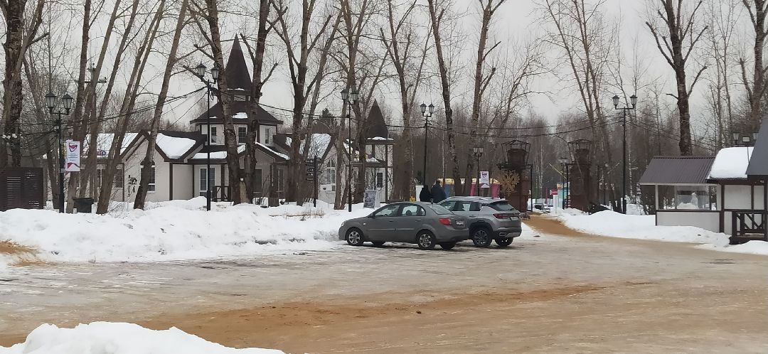 Щёлково, общество