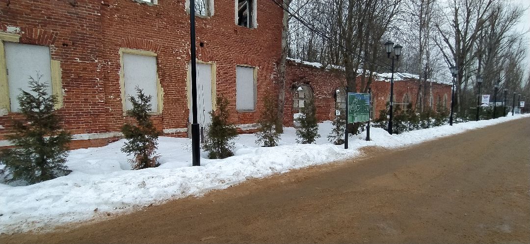 Щёлково, общество