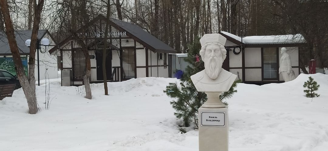 Щёлково, общество