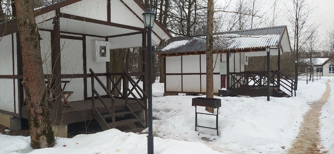 Щёлково, общество