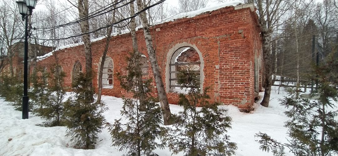 Щёлково, общество