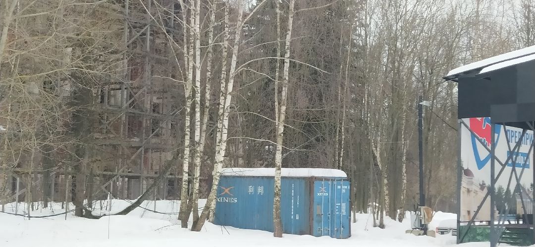 Щёлково, общество