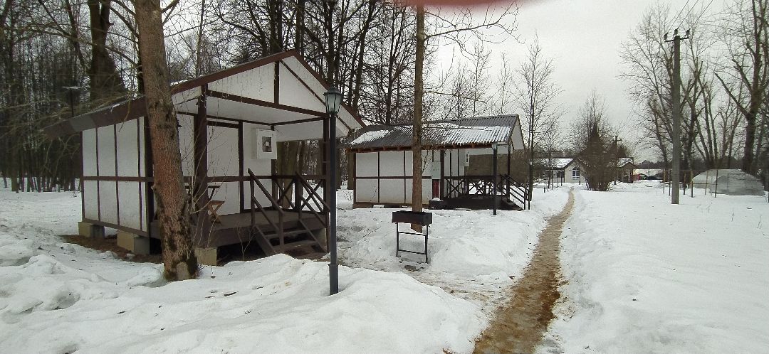 Щёлково, общество