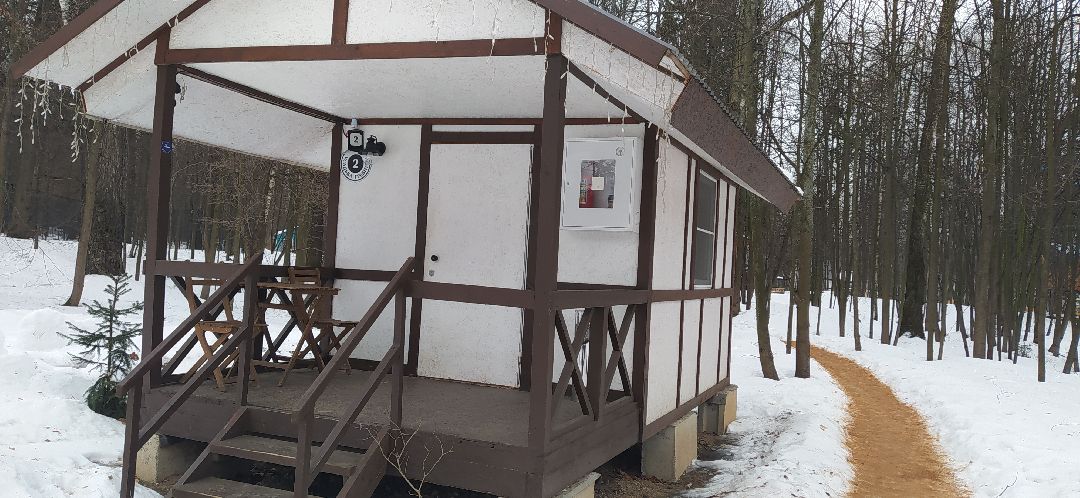 Щёлково, общество