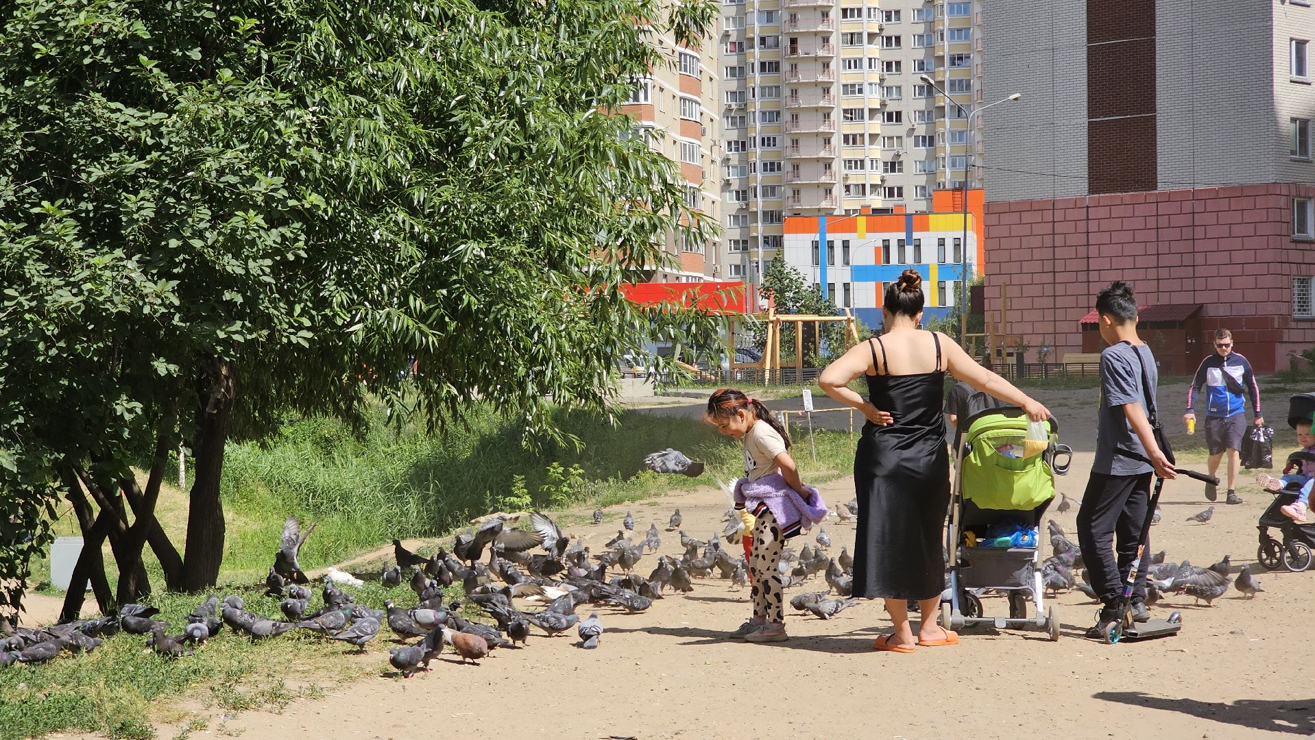 здравоохранение, жара, хронические заболевания, Котельники