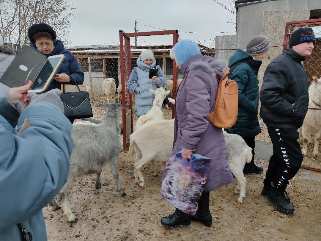 Раменское, общество