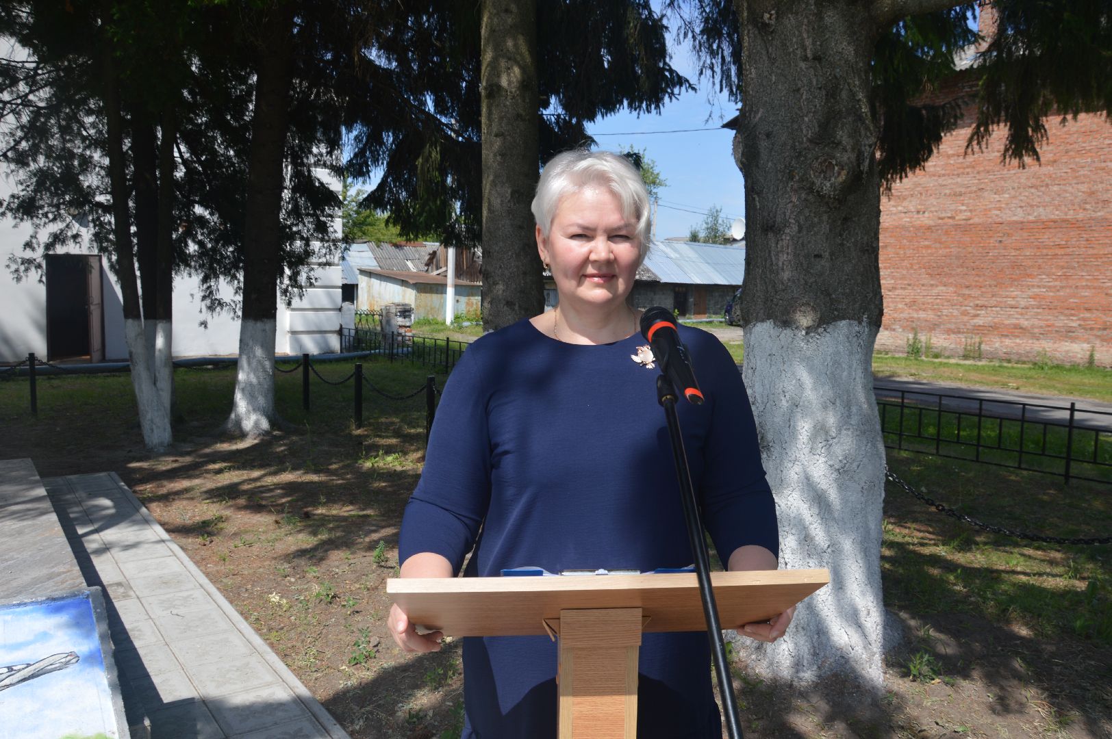 Шатура, митинг-реквием, Керва