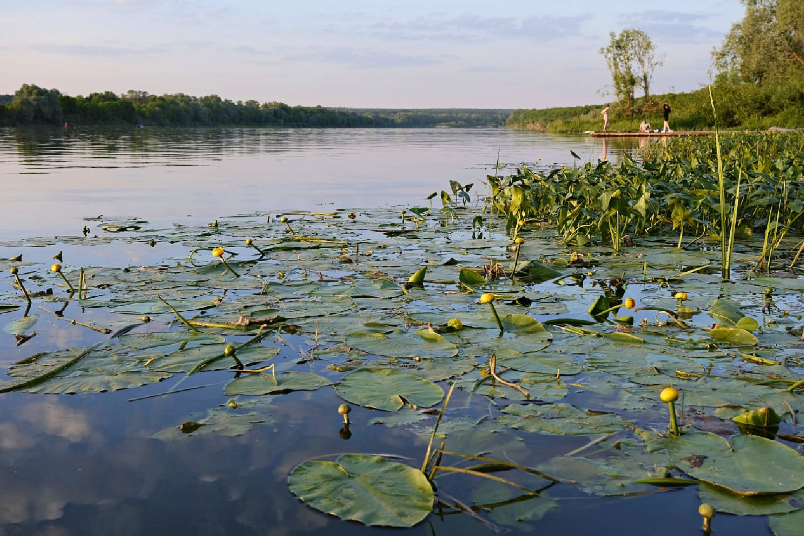 Пущино, экология