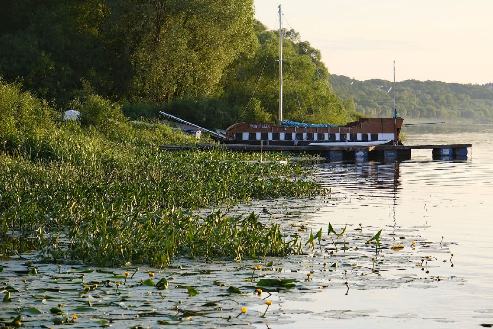 Пущино, экология