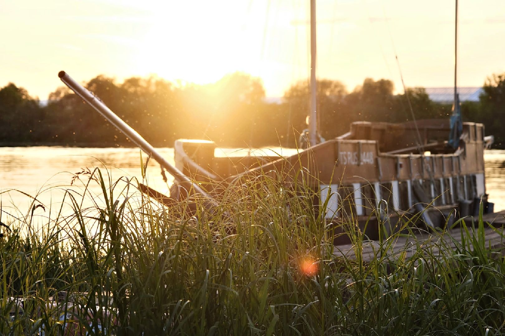 Пущино, экология