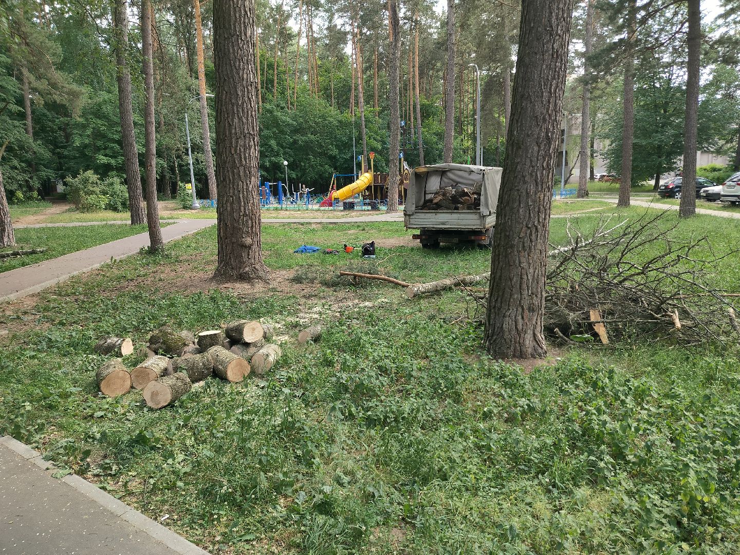 Благоустройство, Комбинат благоустройства, Протвино, деревья, сухостой, безопасность