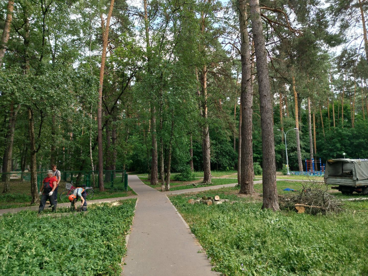 Благоустройство, Комбинат благоустройства, Протвино, деревья, сухостой, безопасность