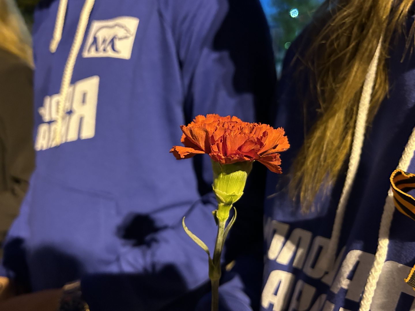 волонтёры, День памяти и скорби, Фрязино