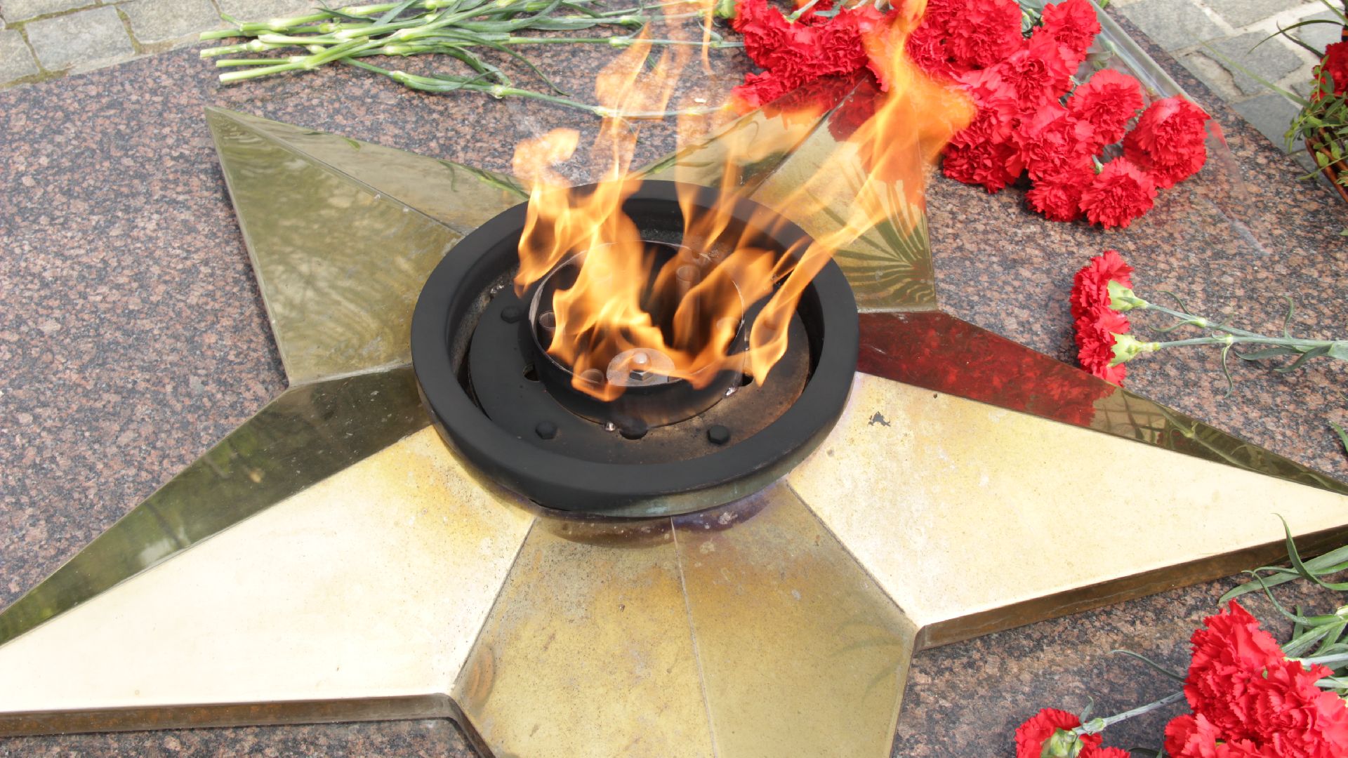 #Деньпамятиискорби#Рошаль#митинг#минутамолчания