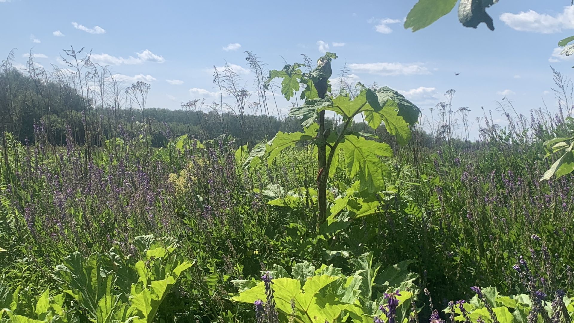 Ступино, медицина, Ступинская ОКБ