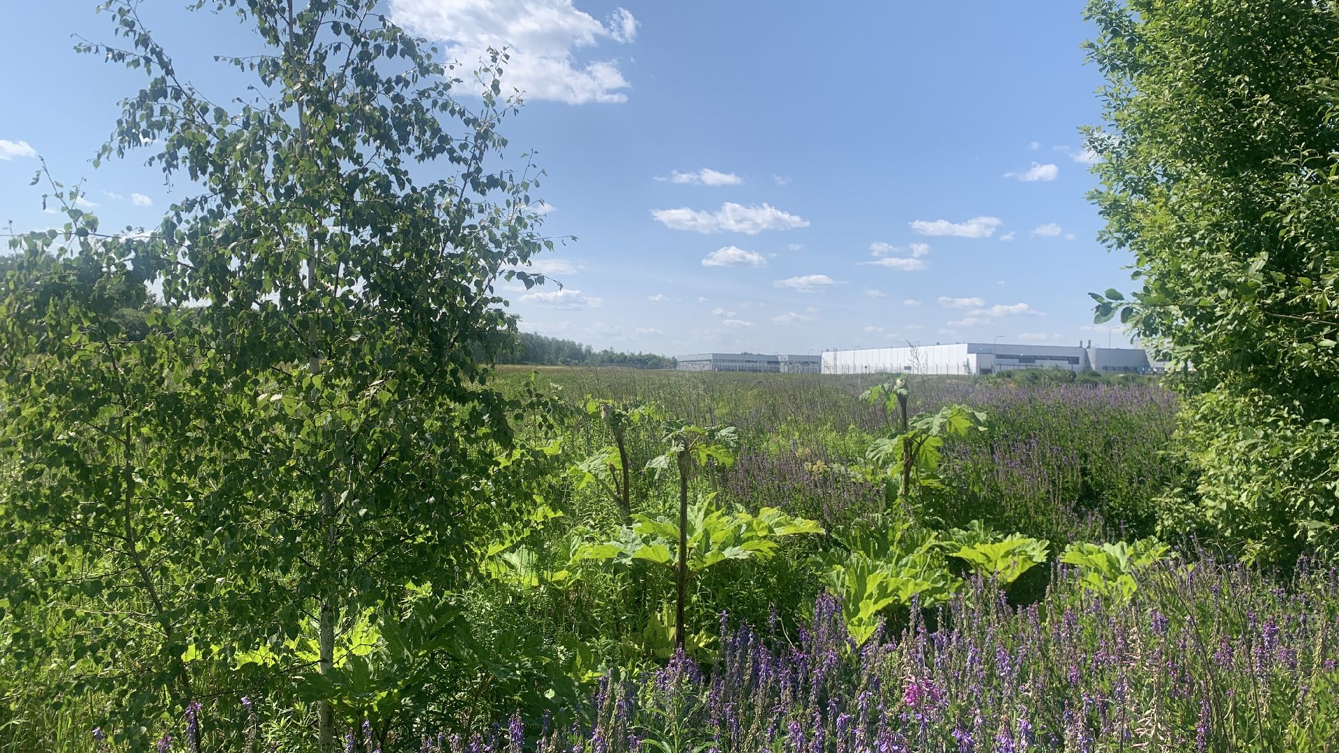 Ступино, медицина, Ступинская ОКБ