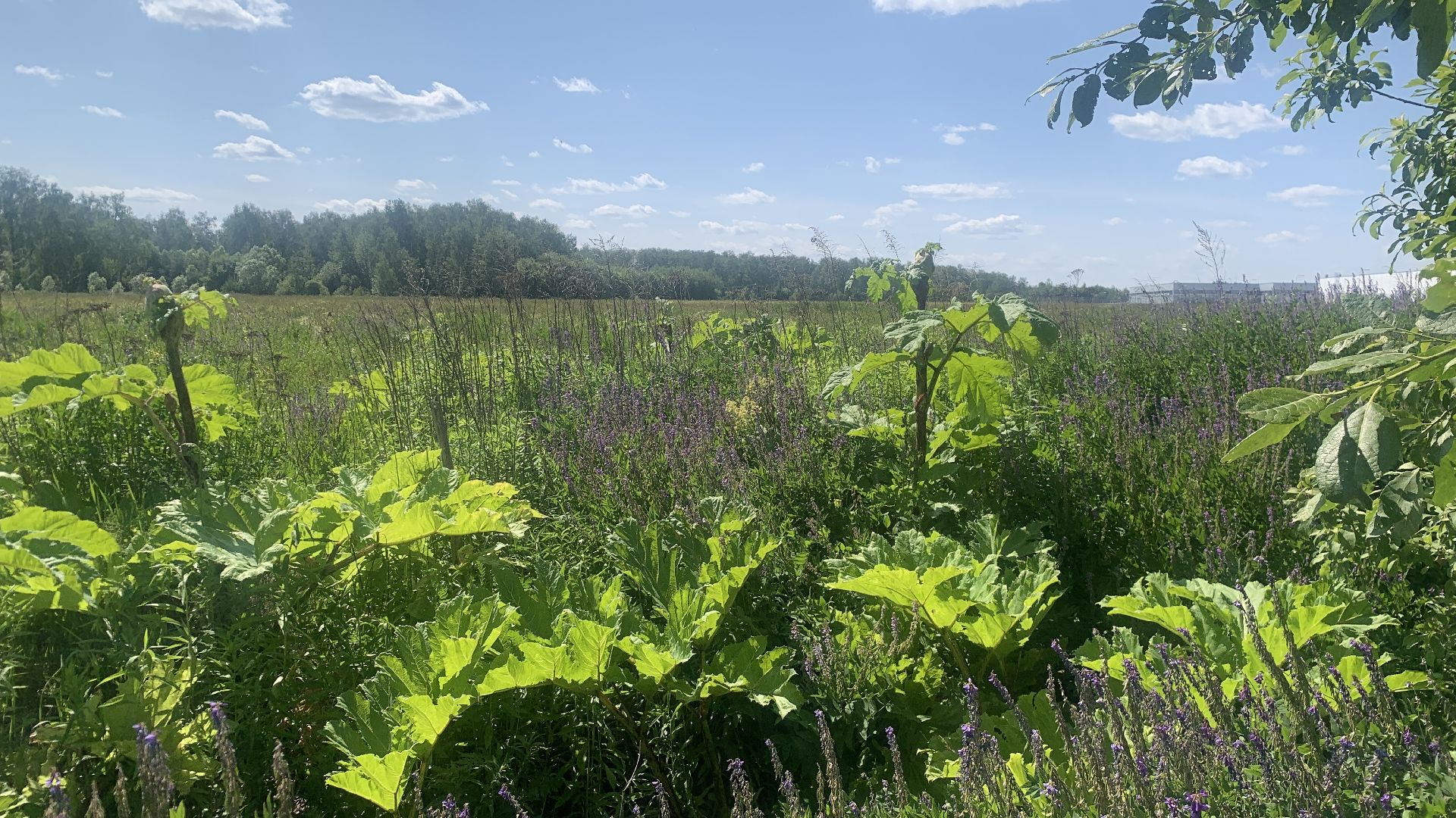 Ступино, медицина, Ступинская ОКБ