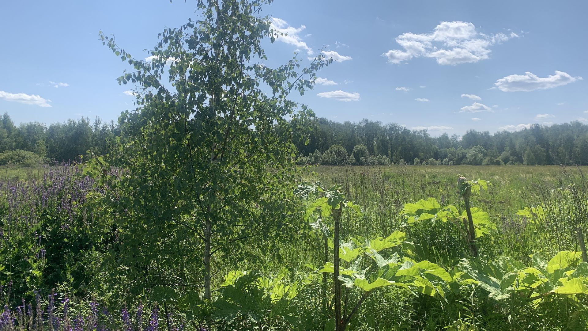 Ступино, медицина, Ступинская ОКБ