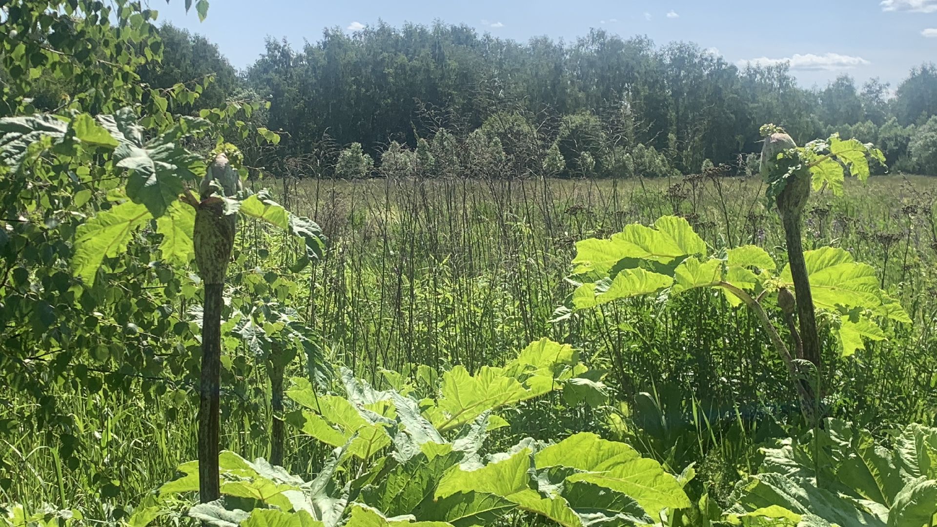 Ступино, медицина, Ступинская ОКБ