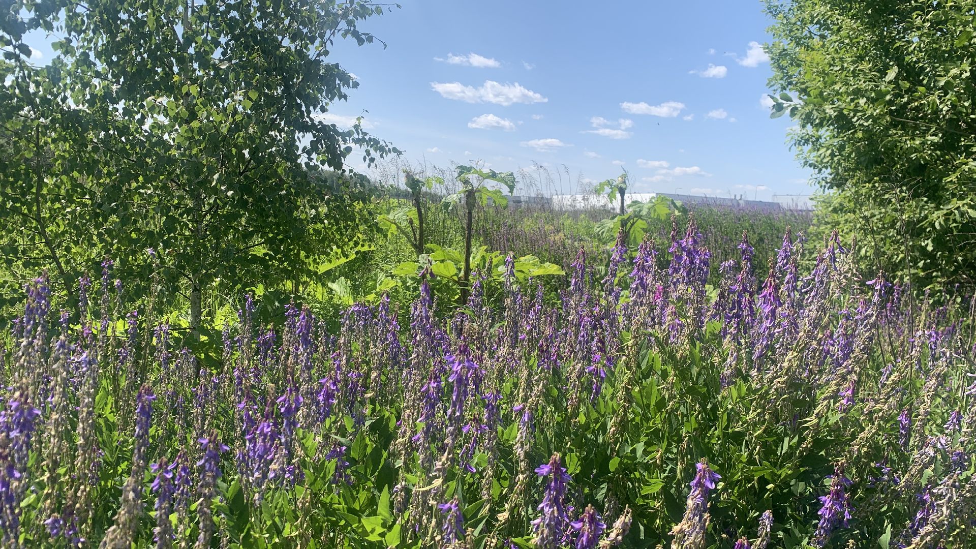 Ступино, медицина, Ступинская ОКБ